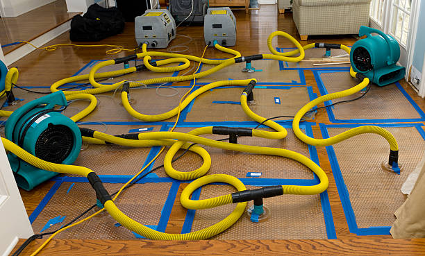 Professional Water Extraction technician working in Fullerton, NE